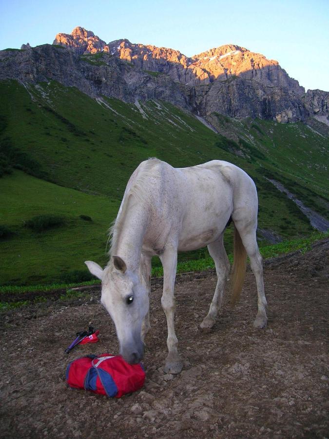 Ferienwohnungen Kerber Bach  Dış mekan fotoğraf